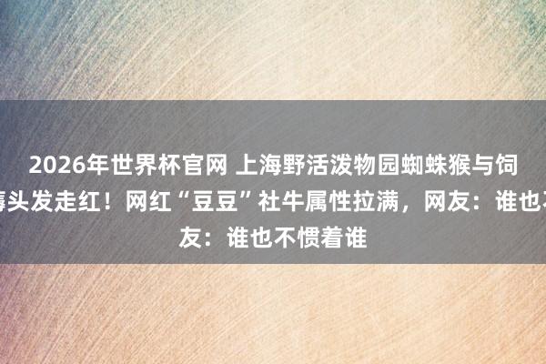 2026年世界杯官网 上海野活泼物园蜘蛛猴与饲养员互薅头发走红！网红“豆豆”社牛属性拉满，网友：谁也不惯着谁