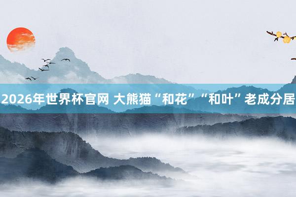 2026年世界杯官网 大熊猫“和花”“和叶”老成分居