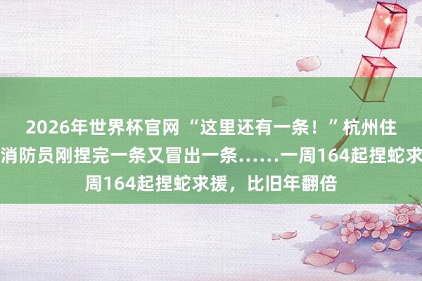 2026年世界杯官网 “这里还有一条！”杭州住户家中杂物间，消防员刚捏完一条又冒出一条……一周164起捏蛇求援，比旧年翻倍