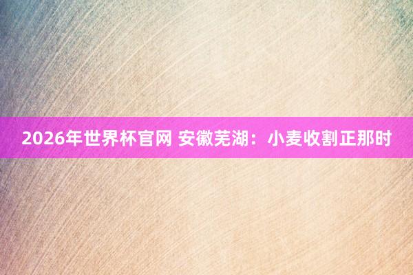 2026年世界杯官网 安徽芜湖：小麦收割正那时