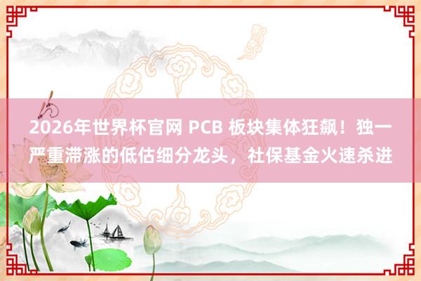 2026年世界杯官网 PCB 板块集体狂飙！独一严重滞涨的低估细分龙头，社保基金火速杀进