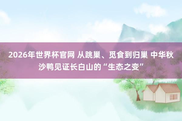 2026年世界杯官网 从跳巢、觅食到归巢 中华秋沙鸭见证长白山的“生态之变”