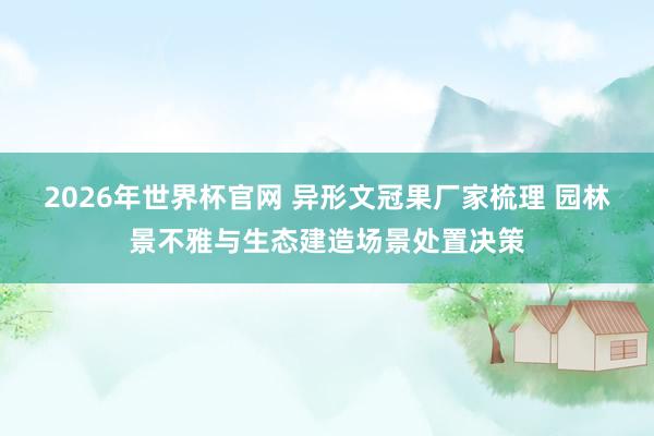 2026年世界杯官网 异形文冠果厂家梳理 园林景不雅与生态建造场景处置决策