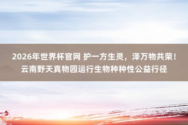 2026年世界杯官网 护一方生灵，泽万物共荣！云南野天真物园运行生物种种性公益行径