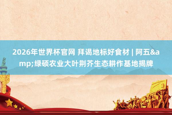 2026年世界杯官网 拜谒地标好食材 | 阿五&绿硕农业大叶荆芥生态耕作基地揭牌