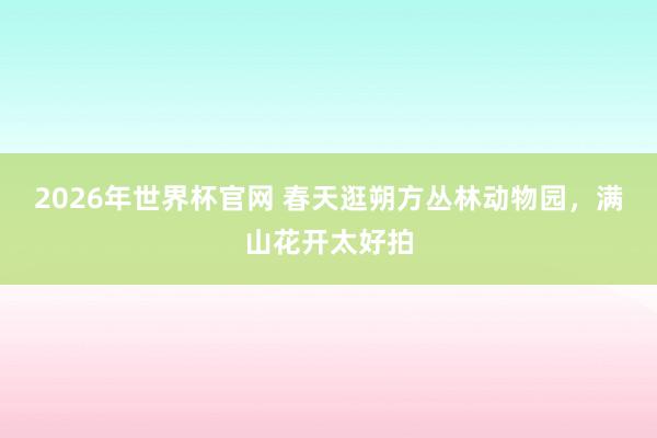 2026年世界杯官网 春天逛朔方丛林动物园，满山花开太好拍