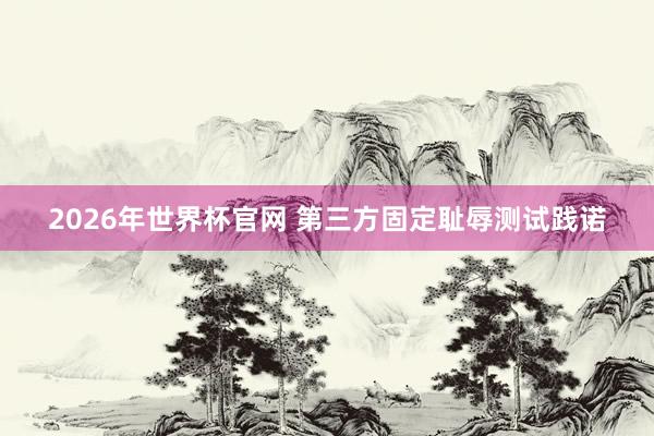 2026年世界杯官网 第三方固定耻辱测试践诺