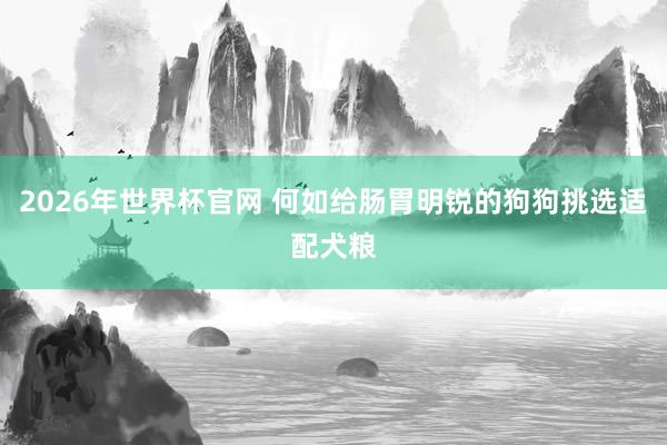 2026年世界杯官网 何如给肠胃明锐的狗狗挑选适配犬粮