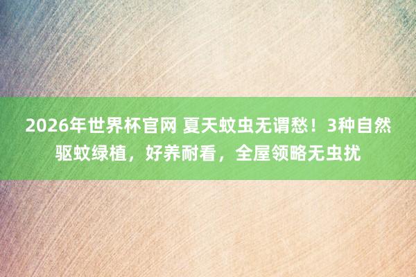 2026年世界杯官网 夏天蚊虫无谓愁！3种自然驱蚊绿植，好养耐看，全屋领略无虫扰