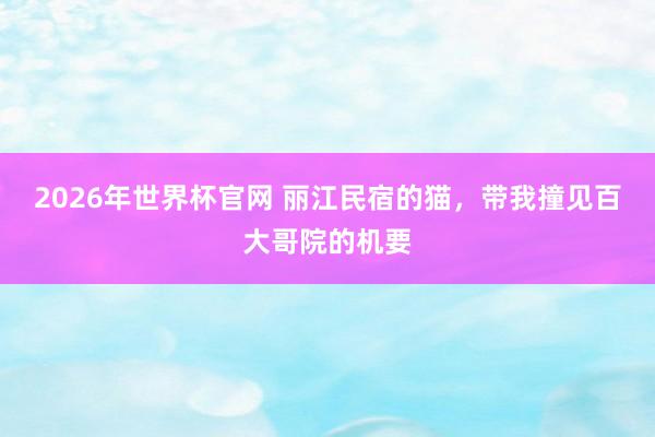 2026年世界杯官网 丽江民宿的猫，带我撞见百大哥院的机要