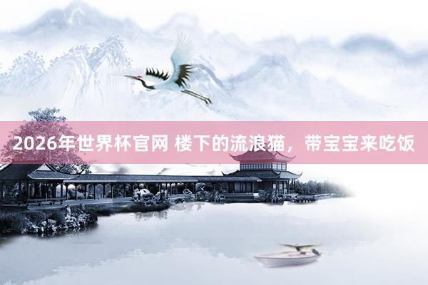 2026年世界杯官网 楼下的流浪猫，带宝宝来吃饭