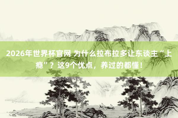 2026年世界杯官网 为什么拉布拉多让东谈主“上瘾”？这9个优点，养过的都懂！
