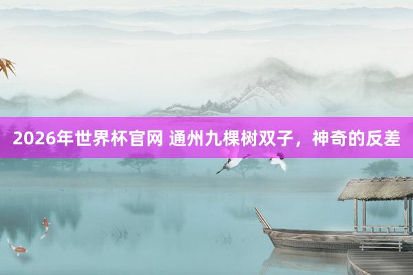 2026年世界杯官网 通州九棵树双子，神奇的反差