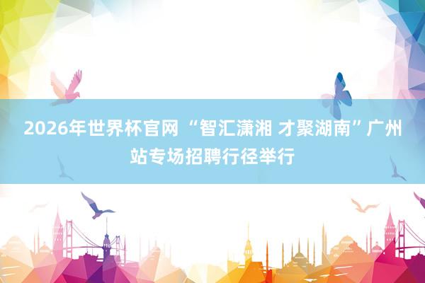 2026年世界杯官网 “智汇潇湘 才聚湖南”广州站专场招聘行径举行