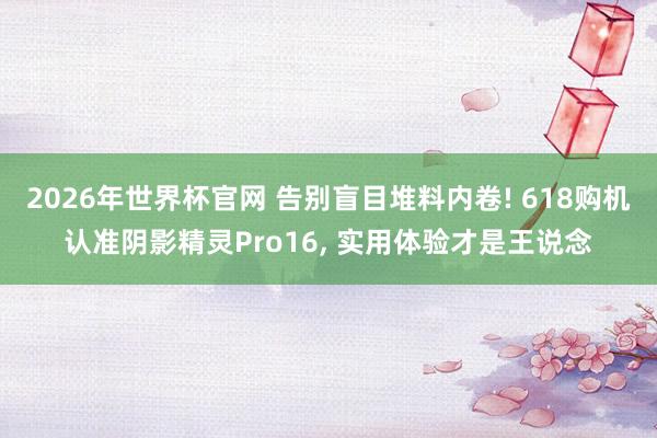 2026年世界杯官网 告别盲目堆料内卷! 618购机认准阴影精灵Pro16， 实用体验才是王说念
