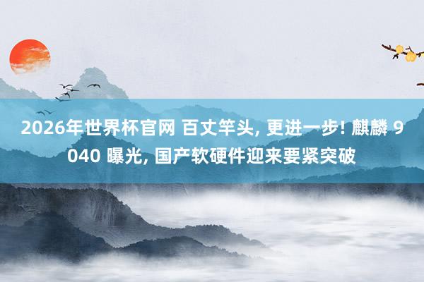 2026年世界杯官网 百丈竿头， 更进一步! 麒麟 9040 曝光， 国产软硬件迎来要紧突破