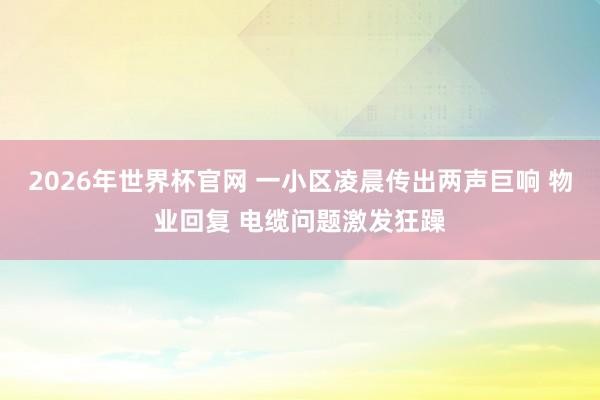 2026年世界杯官网 一小区凌晨传出两声巨响 物业回复 电缆问题激发狂躁