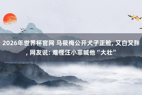 2026年世界杯官网 马筱梅公开犬子正脸， 又白又胖， 网友说: 难怪汪小菲喊他“大壮”