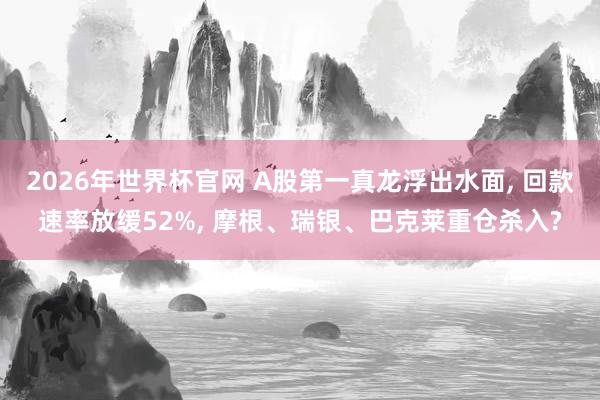 2026年世界杯官网 A股第一真龙浮出水面， 回款速率放缓52%， 摩根、瑞银、巴克莱重仓杀入?