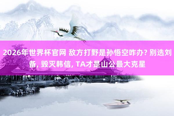 2026年世界杯官网 敌方打野是孙悟空咋办? 别选刘备， 毁灭韩信， TA才是山公最大克星
