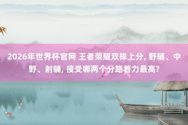 2026年世界杯官网 王者荣耀双排上分， 野辅、中野、射辅， 接受哪两个分路着力最高?