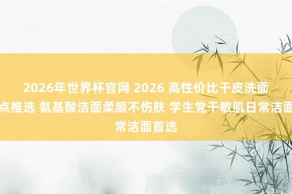 2026年世界杯官网 2026 高性价比干皮洗面奶热点推选 氨基酸洁面柔顺不伤肤 学生党干敏肌日常洁面首选