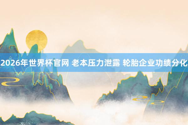 2026年世界杯官网 老本压力泄露 轮胎企业功绩分化