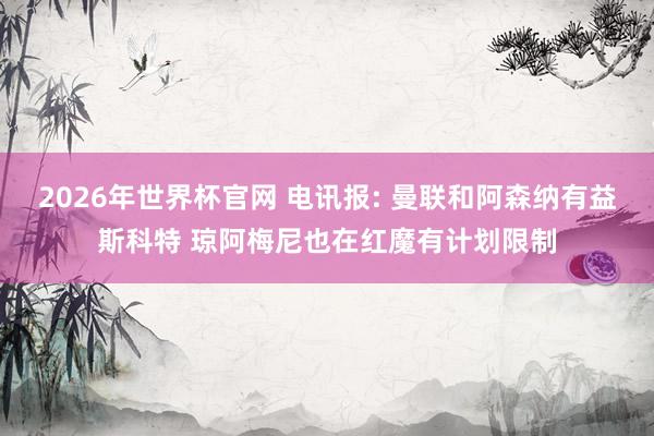 2026年世界杯官网 电讯报: 曼联和阿森纳有益斯科特 琼阿梅尼也在红魔有计划限制