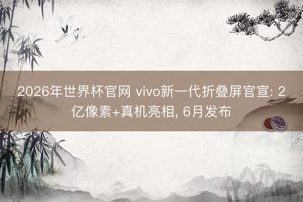 2026年世界杯官网 vivo新一代折叠屏官宣: 2亿像素+真机亮相， 6月发布