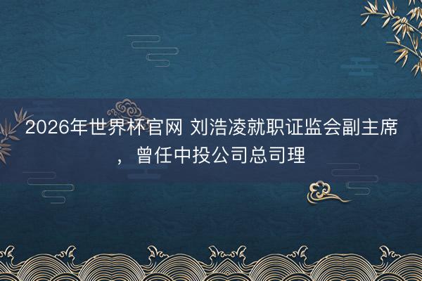 2026年世界杯官网 刘浩凌就职证监会副主席，曾任中投公司总司理